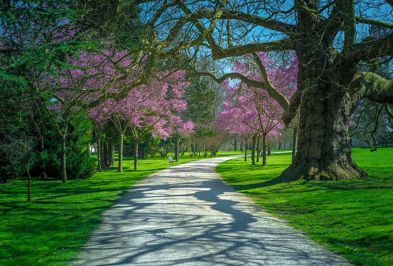 Parc de Noisiel