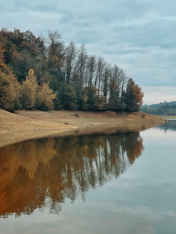 Reflet paisible de la nature